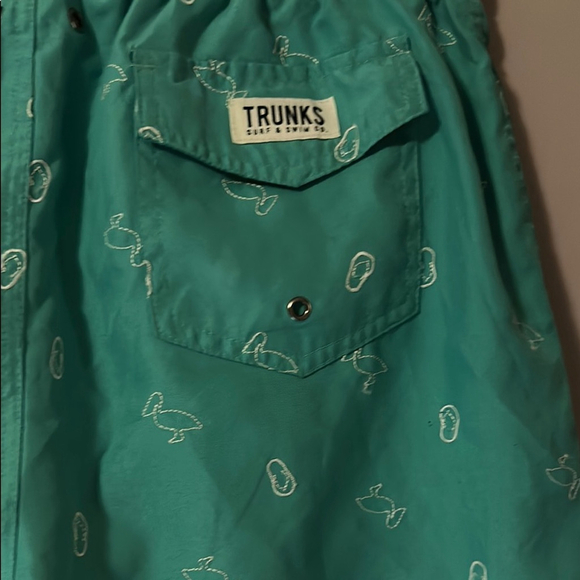 Trunks Men's 6.5 San-O Elastic Waist - Sea Green Pelicans Sandals - M - Picture 6 of 7